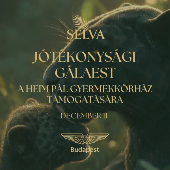 Jótékonysági gálaest plakát